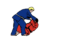 Tomoe Nage, Circle Throw